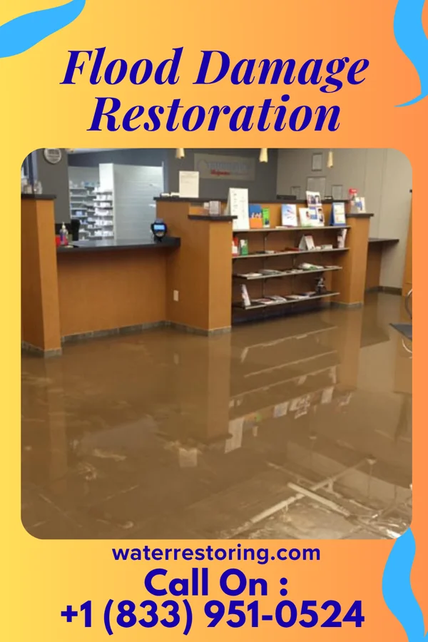 Flood Damage Restoration in Waimalu, HI