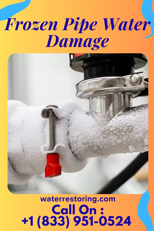 Frozen Pipe Water Damage in Waimalu, HI