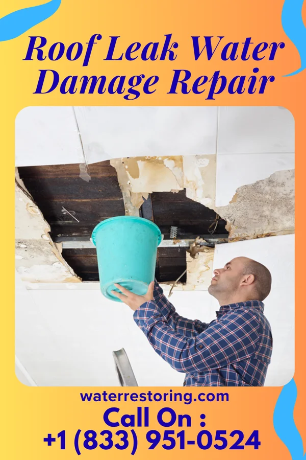 Roof Leak Water Damage Repair in Waimalu, HI