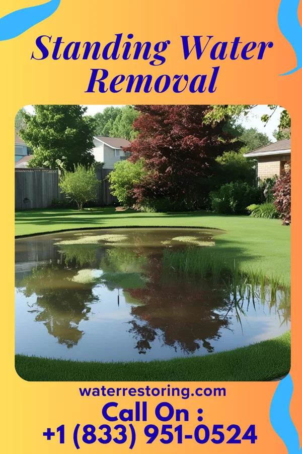 Standing Water Removal in Waimalu, HI